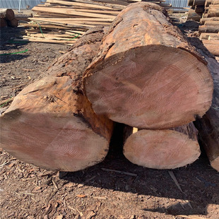Wood Solid Wood Large Diameter Log Pine Larch Log Piling Wood Tianjin Factory Supply
