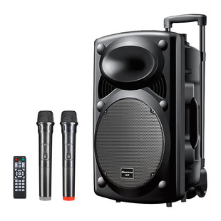 Newman B12 Qualthing Dance Sound 12 дюймов открытый Bluetooth-динамик портативный мобильный спектакль K песенный сабвуфер