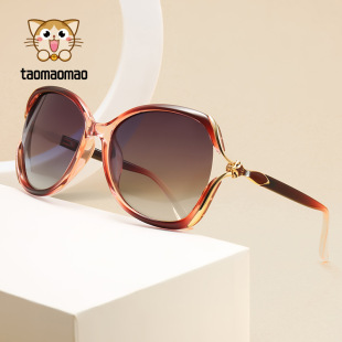 Factory new fashion fashion women's sunglasses high sense leg bag drill HD polarized sunscreen sunglasses wholesale