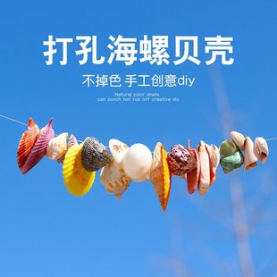Natural Conch Colorful Shells Various Perforated Conch Perforated Shells Creative Handmade DIY Accessories Perforated Beads