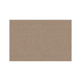 Cross-border Entrance Door Mat Home Entrance Non-slip Carpet Door Mat Door Mat Door Entrance Entrance Living Room Mat Home Step Mat