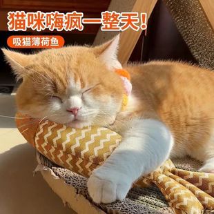 Игрушка для кошек самоснимающая душная кошка Мятная льняная имитация рыбы котенок коренной Кот котенок забавная кошка палочка товары для животных
