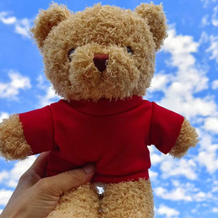 Sweater teddy bear plush toy t-shirt seaweed bear doll printed logo for girlfriend holiday gift