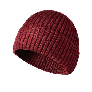 Cross-border in stock Winter Knitted Hat Couple Thickened Warm Wool Hat Baotou Cold Hat Casual Flanging Pullover Hat