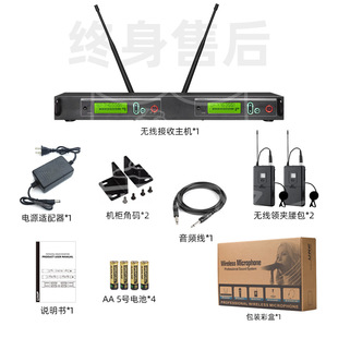 Wireless microphone Intelligent Noise Reduction non-interference true diversity microphone one-to-two infrared wireless microphone microphone