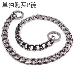 P chain collar dog walking dog leash medium and large dog 304 stainless steel golden retriever horse dog neck collar snake chain iron roga