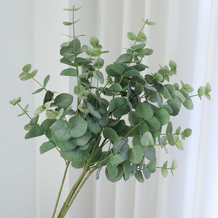 Nordic Simulation Green Plant Single Branch Multi-fork Eucalyptus Leaf Money Leaf Home Decoration Wedding Site Layout Green Plant