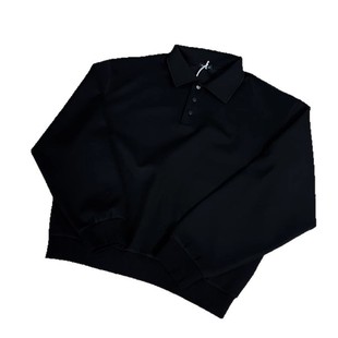 Fashion Niche Simple Basic Polo Lapel Sweatshirt Men's 2025 Spring and Autumn New Box Edition Short Wide Top