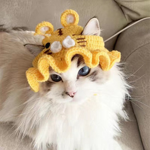 Pet Cat Headgear Explosions Personalized cospaly Headwear Funny Transformation Clothing Wholesale Dog Knitted Hat