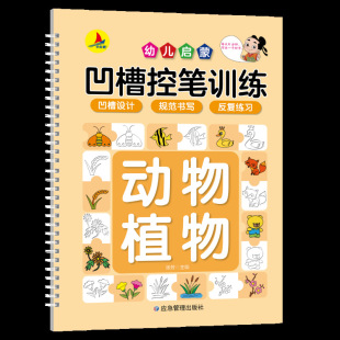 Groove Pen Control Training Pinyin Number Tracing Book Kindergarten Copybook Preschool Enlightenment Beginner Children's Calligraphy Practice Book
