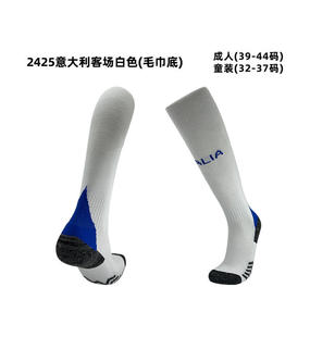 2425 national team sweat-absorbent non-slip sports socks wholesale thickened towel bottom men's and women's socks professional football socks