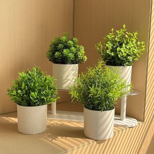 Simulation Flower Simulation Bonsai Artificial Flower Office Desktop Decoration Living Room Nordic Light Luxury Ins Jewelry Photo Props
