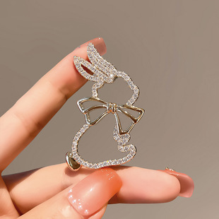 2024 New Style Women's High-End Anti-Light Small Brooch High-End Niche Design Fixed Clothes Pin Cross-Border