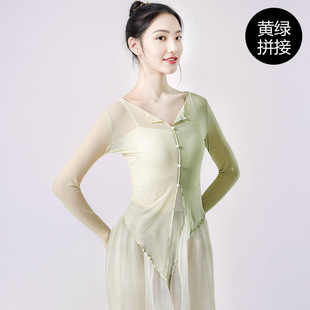 Classical Dance Gauze Women's Elegant Body Rhyme Top Chinese Dance Practice Clothes Stitching Modern Dance Body Performance Costume