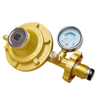 Dongding Household Liquefied Gas Tank Pressure Reducing Valve Thickened Gas Intake Valve with Meter Gas Stove Accessories Low Pressure Valve
