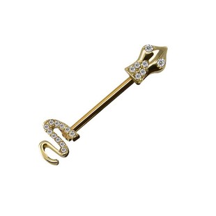 Gaibei European and American Cross-border Eye Butterfly Breast Ring Bee Snake Chest Nipple Nail Stainless Steel Piercing Jewelry in stock