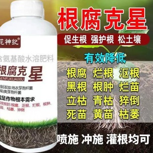 Bacillus subtilis Первая помощь Bacillus subtilis
