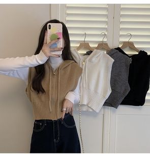 Short Waisted Knitted Hooded Vest 2023 Autumn and Winter New Casual All-match Solid Color Zipper Top