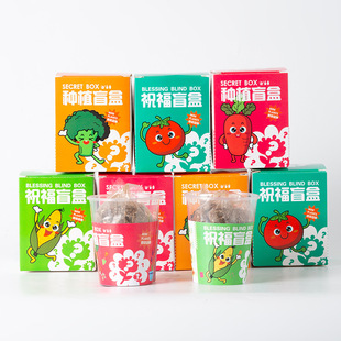 Planting Blind Box Children's Plant Potted Small Potted Kindergarten Observation Plant Primary School Students Seed Mini Wholesale