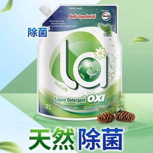 Welloux la Aerobic Laundry Liquid 1L/2L Pine Wood Incense Machine Hand Washing and Durable Incense Household Cleaning Liquid