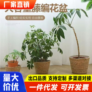 Retro Style Handmade Straw Rattan Flower Basket Indoor Desktop Decoration Green Plant Potted Plant Hug Bucket Creative Green Flower Pot