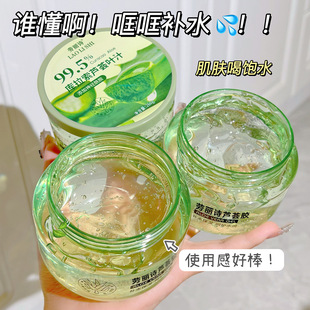 Laurie Aloe Vera Moisturizing Gel Moisturizing Refreshing Care Moisturizing and Smooth Aloe Vera Gel 260g Factory