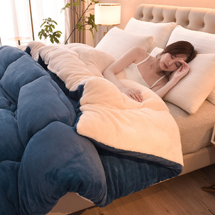Lamb Fleece Milk Fleece Quilt Winter Thickened Warm Double-sided Fleece Quilt Core Student Dormitory Single Double Winter Quilt