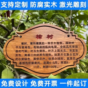 Wooden Sign with Engraving, Tree Sign, Customized Tree Introduction Sign, Plant Sign, Animal Name Sign, Green Plant Sign