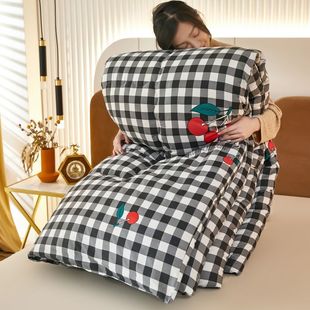 Winter quilt thickened wash cotton quilt core three-dimensional warm winter quilt quilt student dormitory single double spring beauty journey