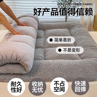 Thickened Lamb Fleece Mattress Cushion Winter Student Dormitory Single Tatami Sponge Cushion Cushion fleece-lined