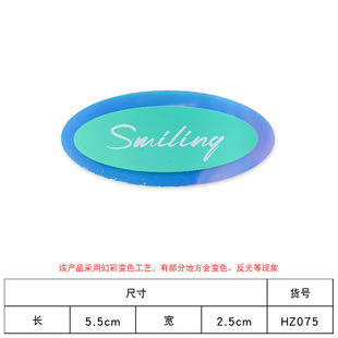 Haozuo original spot magic tpu sign cute cartoon children's clothing shoes and hats reflective chameleon small leather label