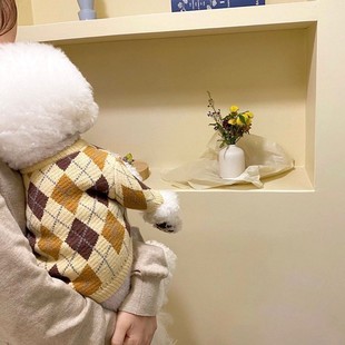 Autumn and Winter cat lady three-dimensional small flower color stripe sweater dog Princess two-leg sweater pet warm clothes