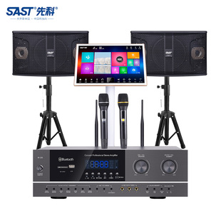 SAST D20 home theater ktv audio suit karaoke machine all-in-one household power amplifier Kara