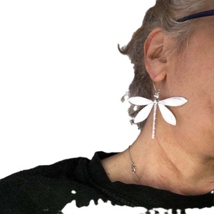 Mingcheng cross-border European and American fashion big retro Dragonfly earrings earrings women