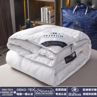 Class 2024A New Hilton Yilin Hotel Summer Cool Quilt Core Four Seasons Quilt