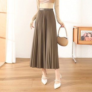 Draping pleated skirt skirt women's spring and summer long skirt 2024 New draping large swing A- line skirt slimming