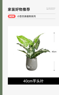 Simulation Green Plant Potted Plant Turtle Bamboo Desktop Fake Potted Plant Small Potted Plant Fake Green Plant Potted Plant Turtle Leaf Fake Flower Decoration