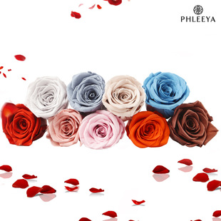 Eternal Flower Rose Flower Head Wholesale 4cmB Grade 10 Pack diy Handmade Wholesale Material Advanced Sense Dried Flower Material