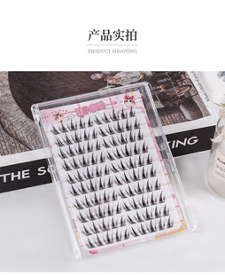 Sunflower Glue-free False Eyelashes Butterfly Girl's Eyelashes Sweet Cool Smart Fox Eye Segmented Light European and American Style