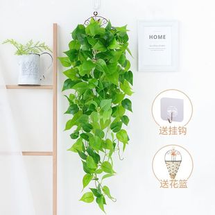 Artificial green radish living room wall hanging green plant wall hanging plant decoration hanging fake flower rattan indoor vine hanging basket