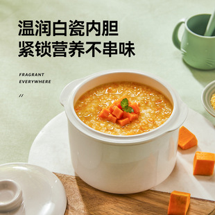 Puriton Household Steamed Multi-functional Electric Stew Pot for Stewing Ceramic Porridge in Water Mini Small Steamer Soup Pot with Steamer Drawer