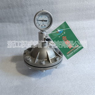 Из нержавеющей стали PVDF мембранный импульсный демпфер FPM/PTFE мембранный буфер для жидкой воды бензобак