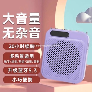 Small Bee Loudspeaker Teacher Wireless Ear Microphone Speaker Large Volume for Teacher Lecture Guide