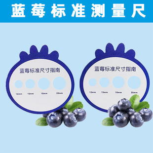 Blueberry standard measuring ruler fruit diameter caliper fresh fruit grading Cherry Cherry size plastic side measuring tool ruler
