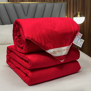 Handmade Silk Quilt Two-in-One Zipper Wedding Spring and Autumn Quilt Winter Quilt Double Summer Cool Air-conditioning Quilt Mother and Child Quilt Core