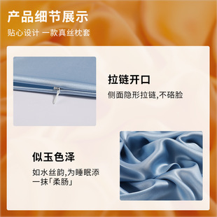100% Mulberry Silk Silk Pillowcase 22 mmi Double Sided Silk Pillowcase Zipper Silk Pillowcase