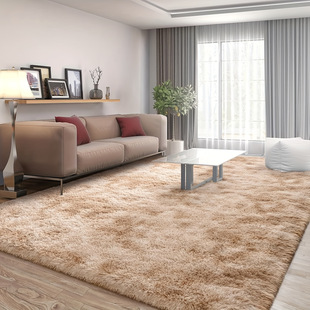 Cross-border Amazon Silk Hair Carpet Living Room Full Sofa Coffee Table Carpet Home Bedroom Tie-dyed Carpet for Hair