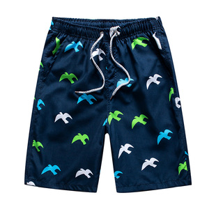 Cross-border Foreign Trade Men's and Women's Beach Pants Couple's Outdoor Shorts Loose Shorts Men's Seaside Casual Pants Large Pants