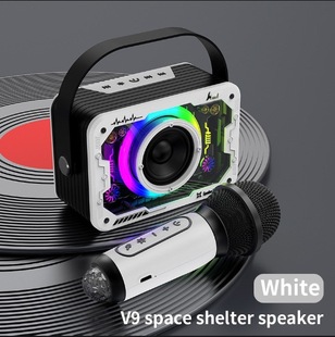 Популярный V9 Mech Bluetooth-динамик домашний беспроводной караоке аудио микрофон открытый пение маленькая семья KTV