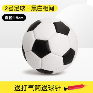 No. 2 baby football ball Digital letter animal fruit literacy PVC inflatable ball children Football